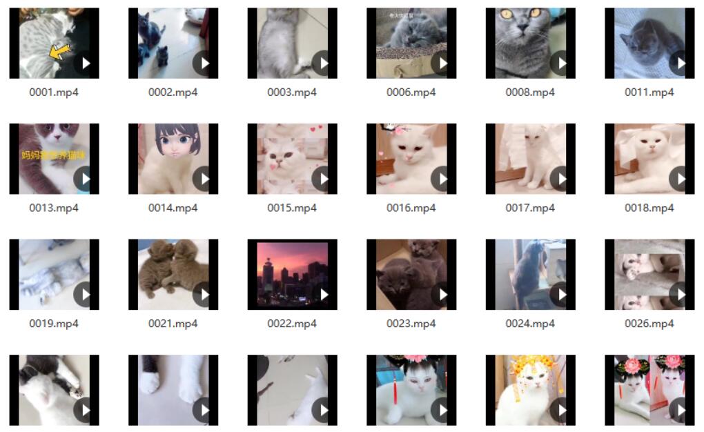 【001期】宠物视频素材（包含狗和猫）（7950个） 资源素材 第3张