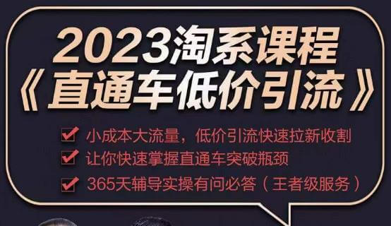 （3625期）2023直通车低价引流玩法课程，小成本大流量，低价引流快速拉新收割，让你快速掌握直通车突破瓶颈 电商运营 第1张