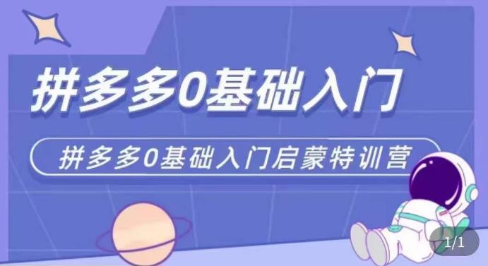 （3888期）拼多多运营0-1实操特训营，拼多多0基础入门，从基础到进阶的可实操玩法 电商运营 第1张