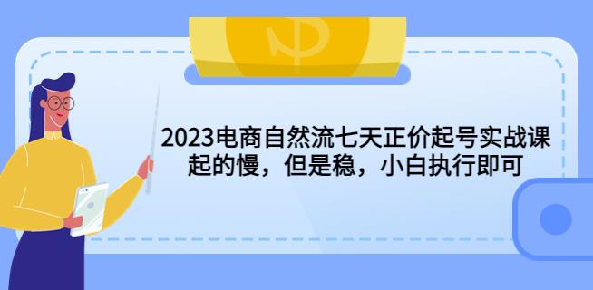 （4081期）2023电商自然流七天正价起号实战课：起的慢，但是稳，小白执行即可！ 电商运营 第1张