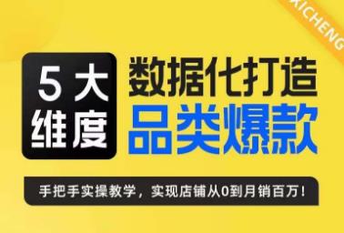 （5076期）玺承·5大维度，数据化打造电商品类爆款特训营，一套高效运营爆款方法论 电商运营 第1张