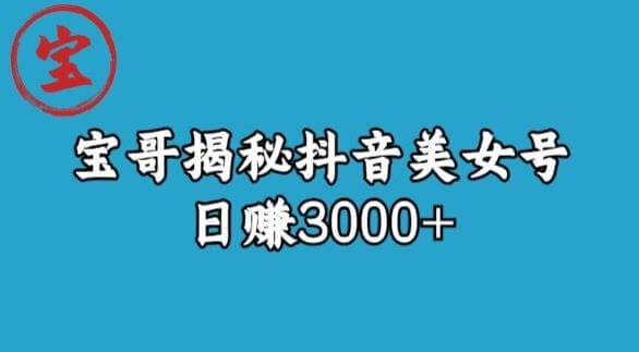 （5106期）宝哥揭秘抖音美女号玩法，日赚3000+【揭秘】 短视频运营 第1张