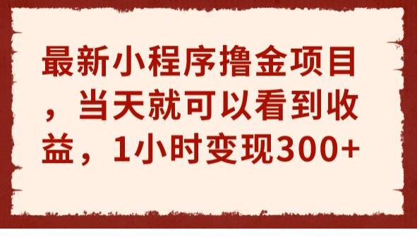 （5255期）最新小程序撸金项目，当天就可以看到收益，1小时变现300+【揭秘】 网赚项目 第1张