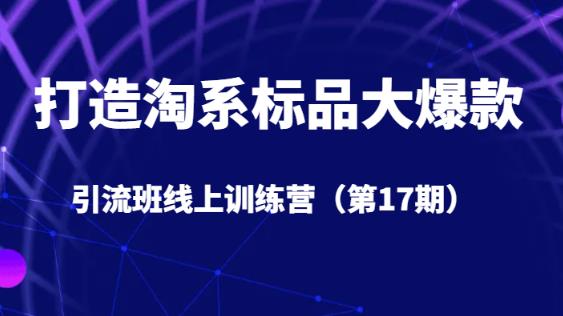 （5690期）打造淘系标品大爆款引流班线上训练营（第17期）5天直播授课 电商运营 第1张