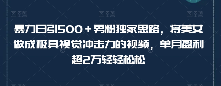 （6150期）暴力日引500＋男粉独家思路，将美女做成极具视觉冲击力的视频，单月盈利超2万轻轻松松 网赚项目 第1张