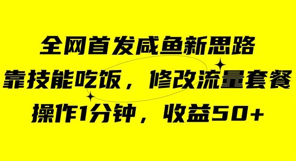 （6308期）咸鱼冷门新玩法，靠“技能吃饭”，修改流量套餐，操作1分钟，收益50【揭秘】 网赚项目 第1张