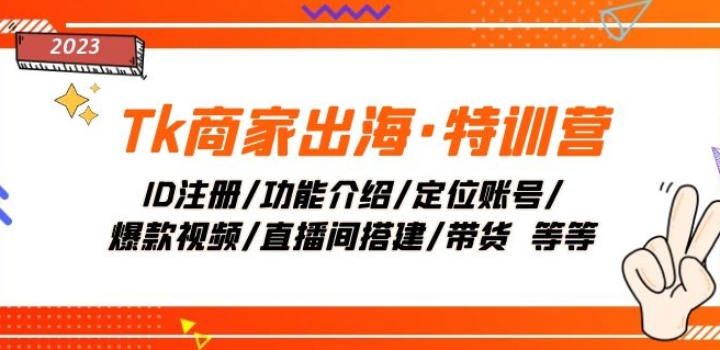 （6539期）Tk商家出海·特训营：ID注册/功能介绍/定位账号/爆款视频/直播间搭建/带货 短视频运营 第1张