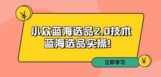 （7653期）拼多多培训第33期：小众蓝海选品2.0技术-蓝海选品实操