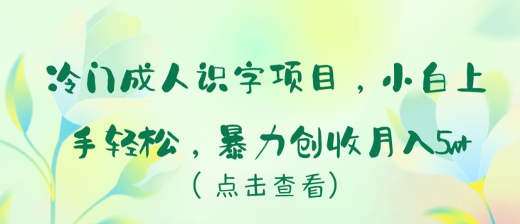 （8256期）冷门成人识字项目，小白上手轻松，暴力创收月入5w+