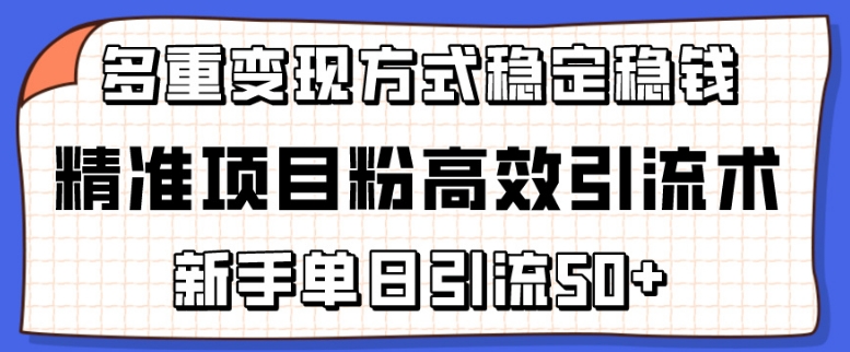 （8435期）精准项目粉高效引流术，新手单日引流50+，多重变现方式稳定赚钱