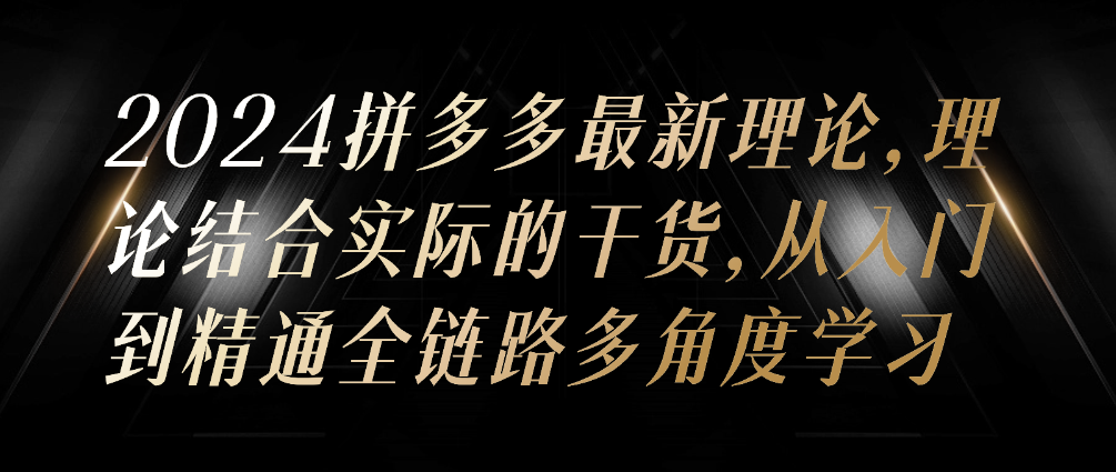 （8774期）2024拼多多最新理论，理论结合实际的干货，从入门到精通全链路多角度学习 电商运营 第1张