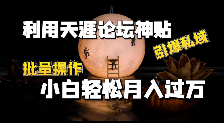 （8879期）利用天涯论坛神贴，小白轻松月入10000+，引爆私域，批量操作