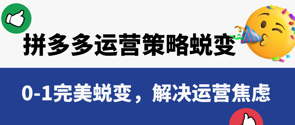 （8885期）2024拼多多运营策略蜕变3.0，0-1完美蜕变，解决运营焦虑 电商运营 第1张