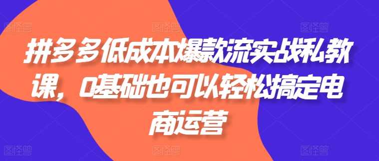 （8948期）拼多多低成本爆款流实战私教课，0基础也可以轻松搞定电商运营