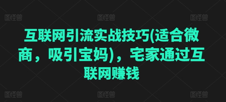 （8951期）互联网引流实战技巧(适合微商，吸引宝妈)，宅家通过互联网赚钱