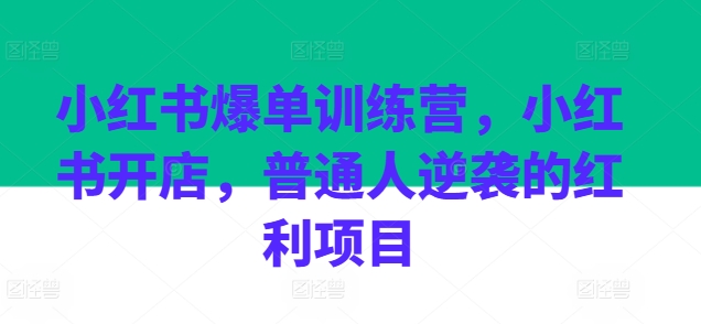 （8966期）小红书爆单训练营，小红书开店，普通人逆袭的红利项目 短视频运营 第1张