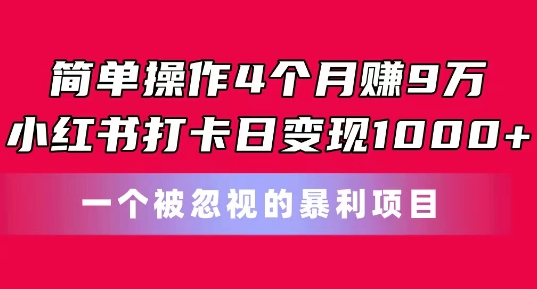 （8971期）简单操作4个月赚9w，小红书打卡日变现1000+