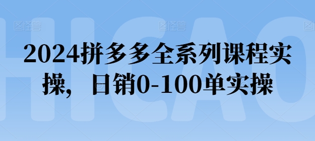 （9029期）2024拼多多全系列课程实操，日销0-100单实操