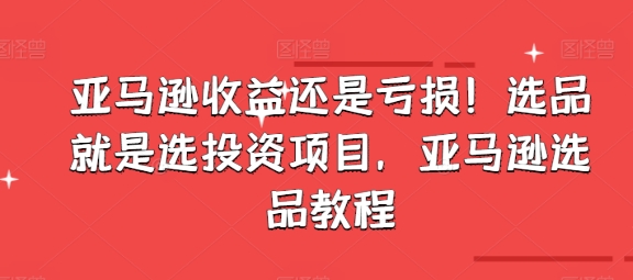 （9152期）亚马逊收益还是亏损！选品就是选投资项目，亚马逊选品教程