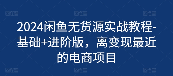 （9233期）2024闲鱼无货源实战教程-基础+进阶版，离变现最近的电商项目