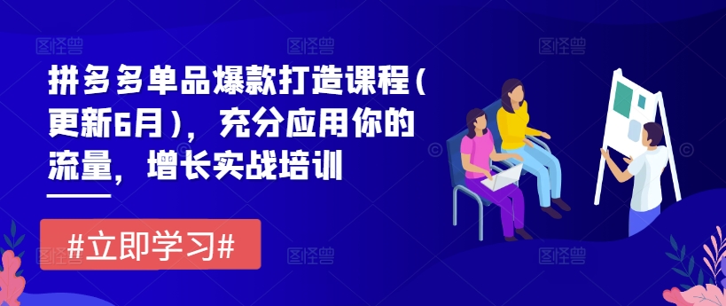 （9246期）拼多多单品爆款打造课程(更新6月)，充分应用你的流量，增长实战培训