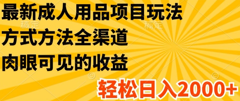 （9300期）成人用品项目玩法，方式方法全渠道，轻松日入2K+