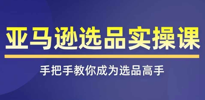 （9308期）亚马逊选品实操课程，快速掌握亚马逊选品的技巧，覆盖亚马逊选品所有渠道