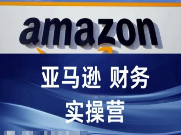 （9376期）亚马逊财务核算实操营-亚马逊跨境电商教程 电商运营 第1张