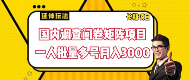 （9406期）国内调查问卷矩阵项目，一人批量多号月入3000