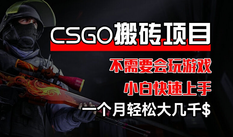 （9412期）不需要会玩游戏搬砖项目，CSGO装备搬砖项目，通过汇率差价一个月赚个大几千 网赚项目 第1张