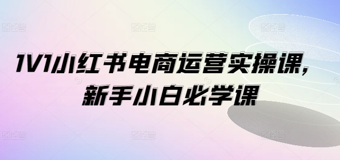 （9460期）1V1小红书电商运营实操课，新手小白必学课