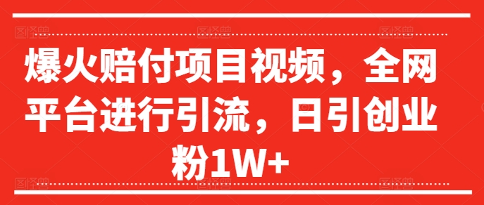 （9576期）爆火赔付项目视频，全网平台进行引流，日引创业粉1W+