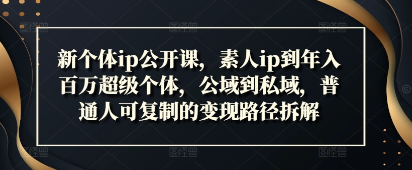 （9585期）花生·新个体ip公开课，普通人可复制的变现路径拆解