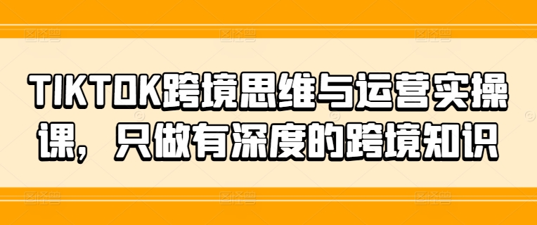 （9593期）老白跨境·Tiktok跨境思维与运营实操课，跨境人要看的武林秘籍