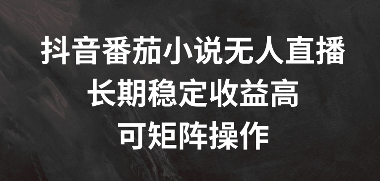 （9598期）抖音番茄小说无人直播，适合全民操作，不需要出镜