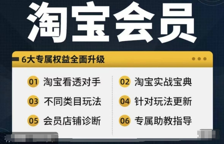 （9678期）淘宝会员【淘宝所有课程，全面分析对手】，初级到高手全系实战宝典