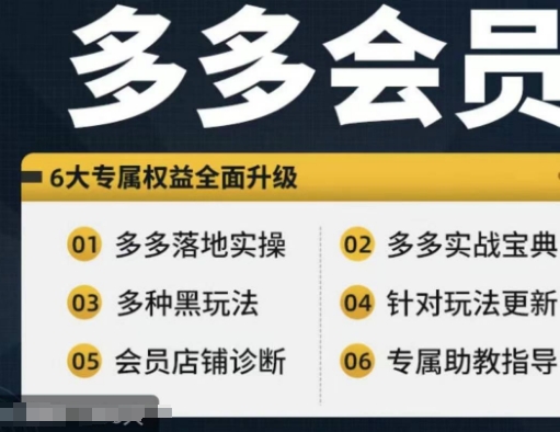 （9679期）拼多多会员，拼多多实战宝典+实战落地实操，从新手到高阶内容全面覆盖