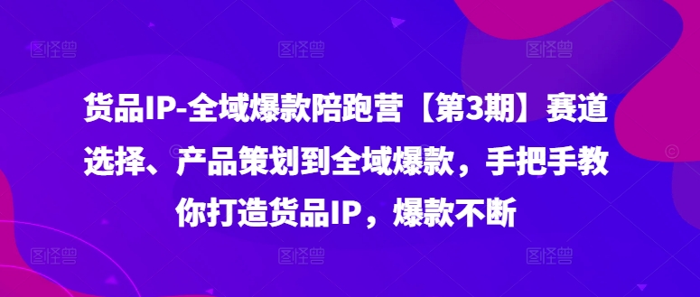 （9699期）贾真-108将·货品IP全域爆款陪跑营【第3期】赛道选择、产品策划到全域爆款