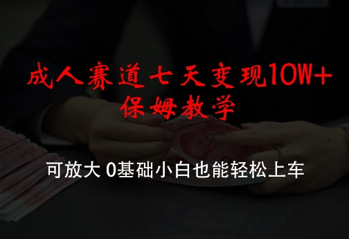 （9804期）成人赛道0基础上车，七天变现10W+保姆教学