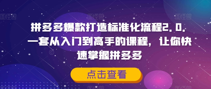 （9815期）家政108将·拼多多爆款打造标准化流程2.0，全维度讲解，拼多多运营逻辑