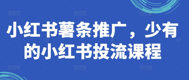 （9866期）红山会·小红书薯条推广，薯条投放流程 新媒体 第1张