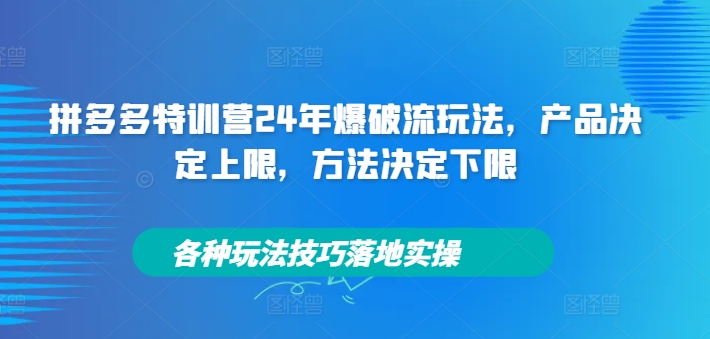 （9996期）纪主任·拼多多特训营24年爆破流玩法，各种玩法技巧落地实操