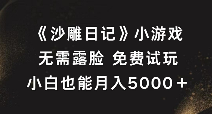 （10080期）《沙雕日记》小游戏，多种变现方式，每天两小时，月入5000+