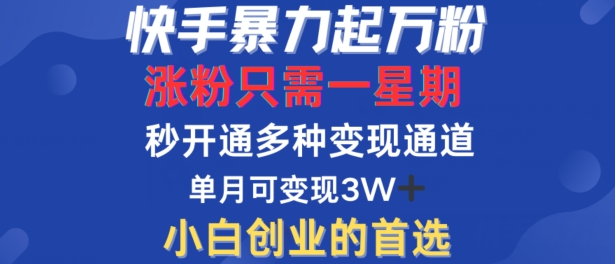 （10106期）快手暴力起万粉，涨粉只需一星期，多种变现模式，直接秒开万合