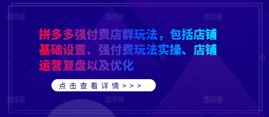 （10119期）力辛电商·拼多多强付费店群玩法，强付费玩法实操、店铺运营复盘