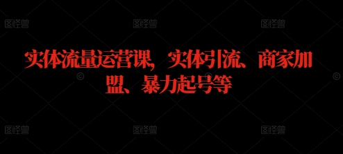 （10169期）大刘·实体流量运营课，实体引流、商家加盟、暴力起号