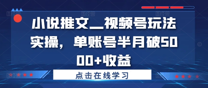 （10217期）小说推文视频号玩法实操，单账号半月破5000+