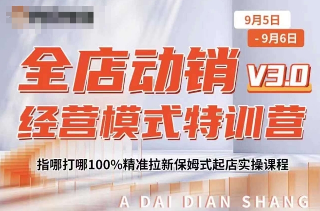 （10223期）阿呆电商·全店动销经营模式特训营，指哪打哪100%精准拉新保姆式起店实操课程