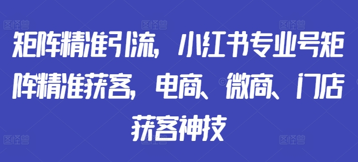 （10296期）凯哥·矩阵精准引流，小红书专业号矩阵精准获客