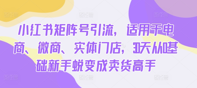 （10296期）凯哥·小红书矩阵号引流，30天从0基础新手蜕变成卖货高手